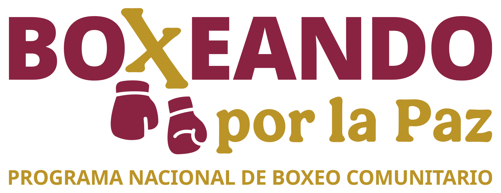 Boxeando por la Paz - Programa Nacional de Boxeo Comunitario